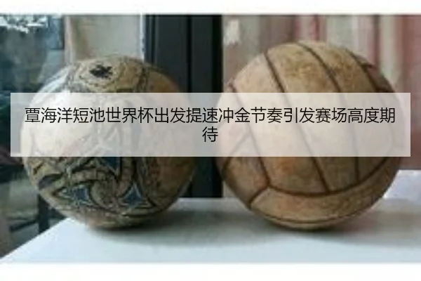 覃海洋短池世界杯出发提速冲金节奏引发赛场高度期待（MorganSport）